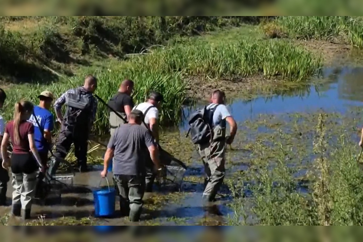 FOTO: V okrese Púchov pristúpili kvôli suchu ku výlovu rýb , foto 7