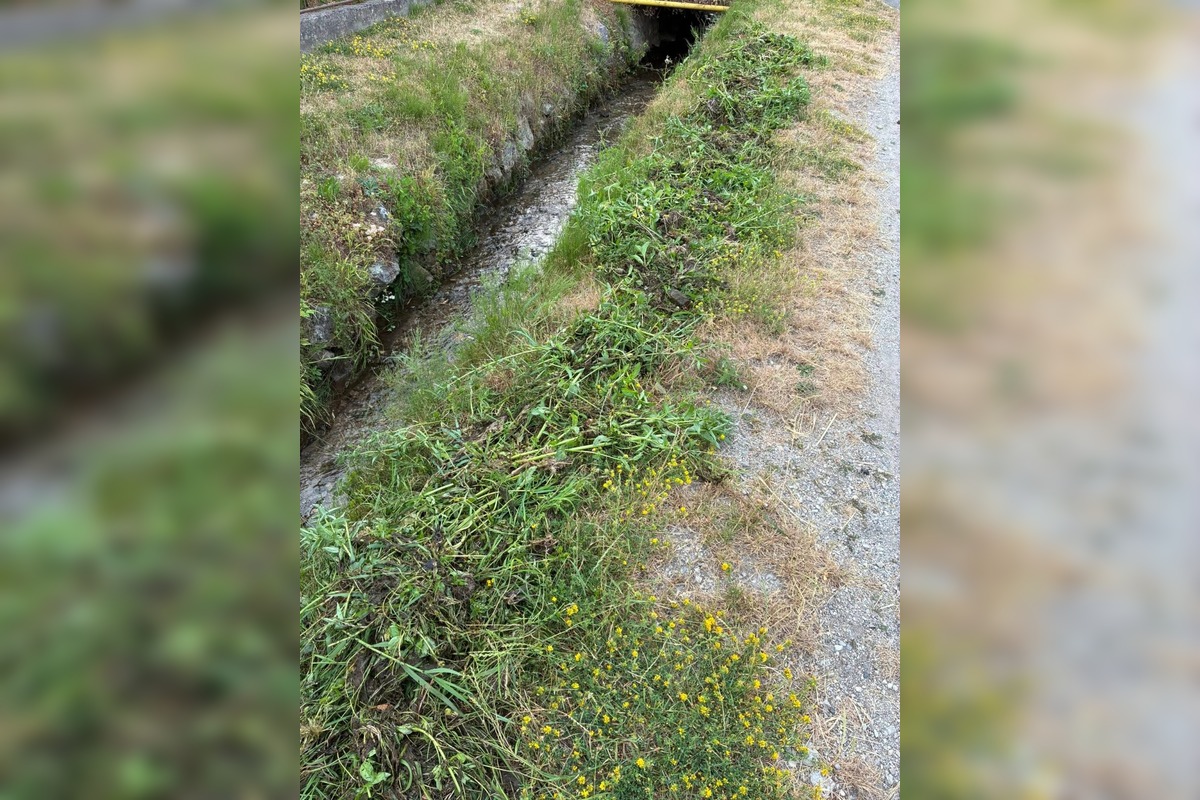 FOTO: V Trenčianskych Miticiach upozorňujú na nelegálne vypúšťanie žúmp do potoka, foto 1