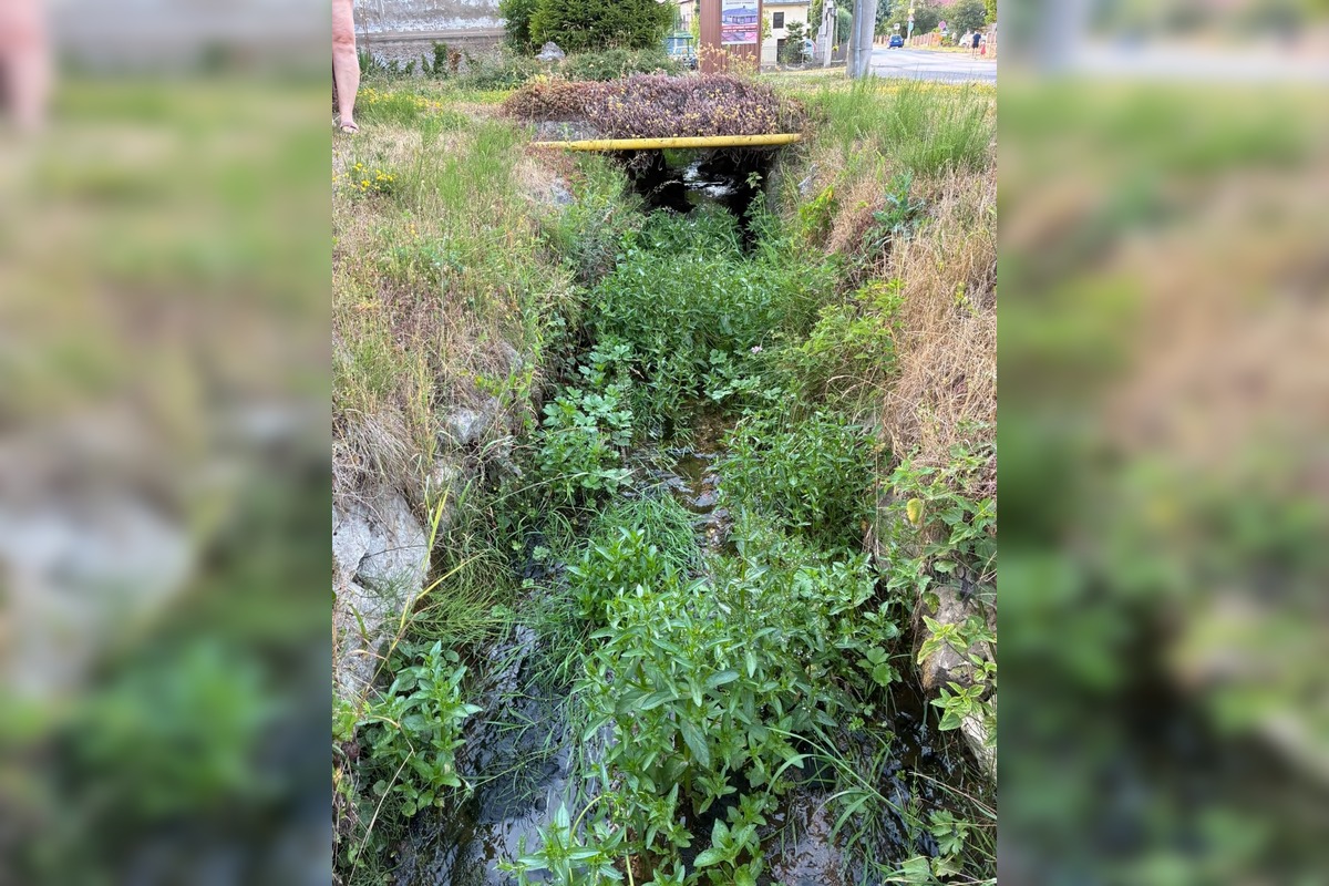 FOTO: V Trenčianskych Miticiach upozorňujú na nelegálne vypúšťanie žúmp do potoka, foto 2