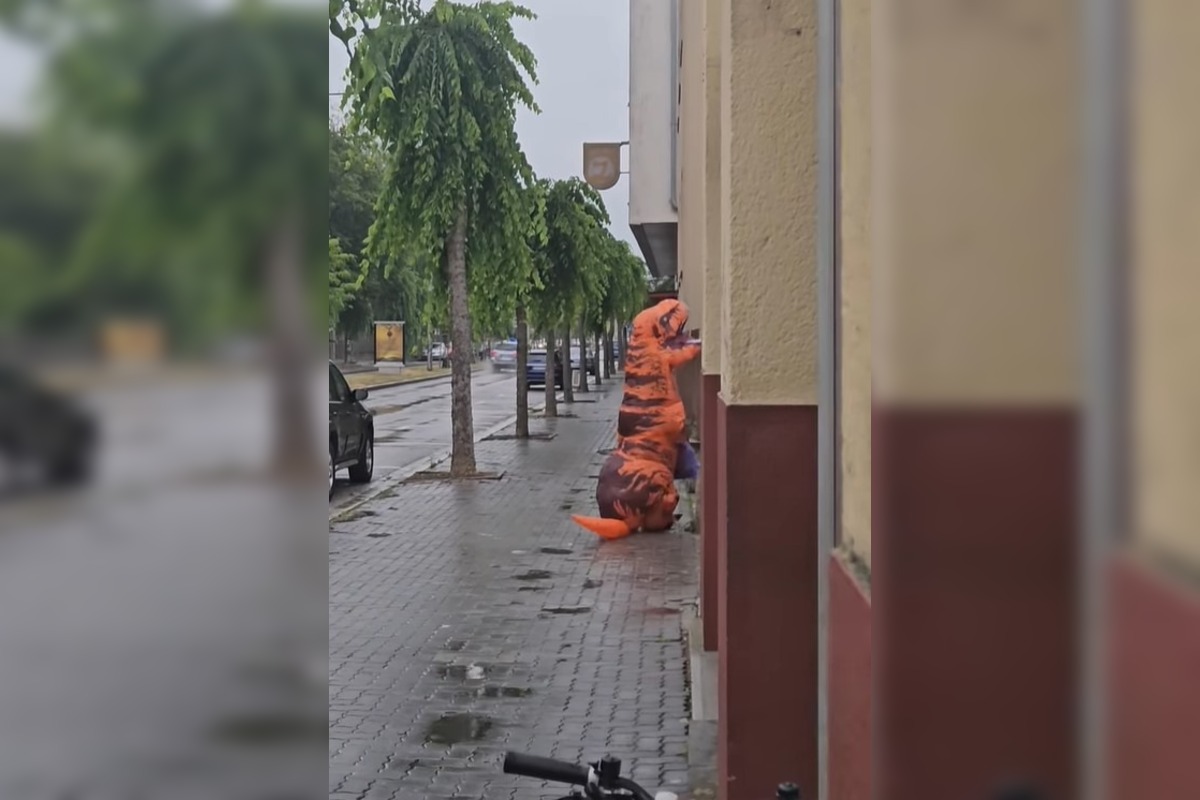 FOTO: Video dinosaura, ktorý vysýpa smeti v Trenčíne zaujalo verejnosť , foto 3