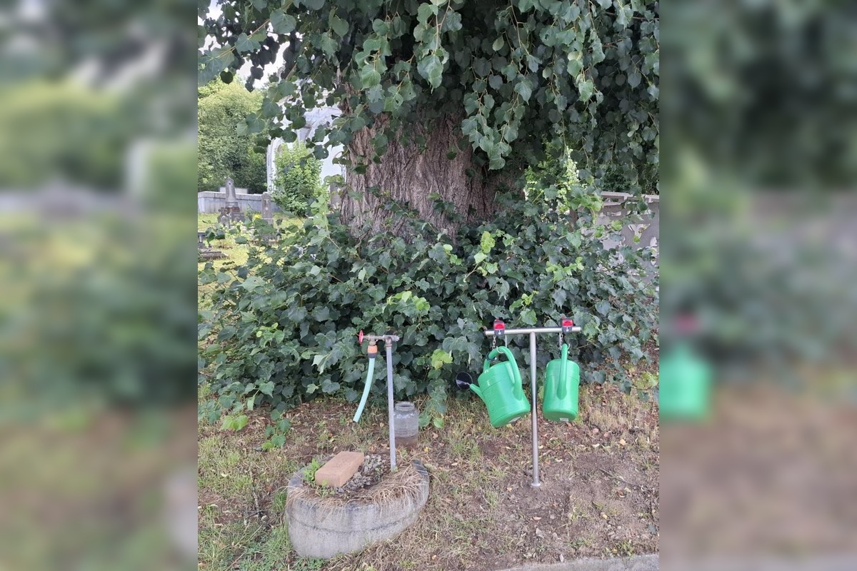 FOTO: Návštevníkov cintorínu v Ilave, čaká praktická novinka , foto 1