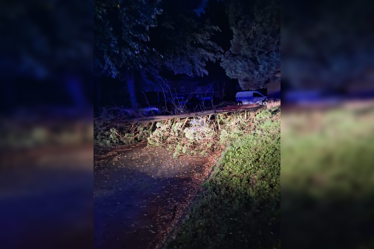 FOTO: Obyvatelia Handlovej sú po burke bez elektriny , foto 1