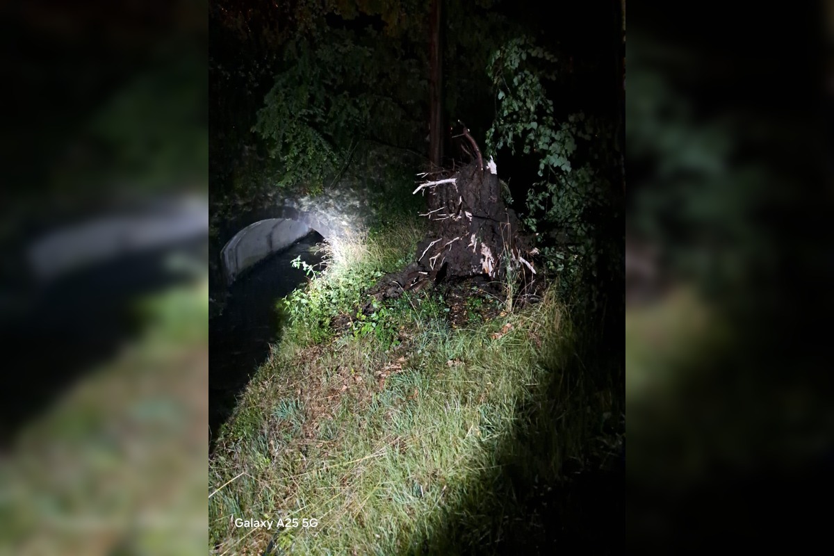 FOTO: Obyvatelia Handlovej sú po burke bez elektriny , foto 3