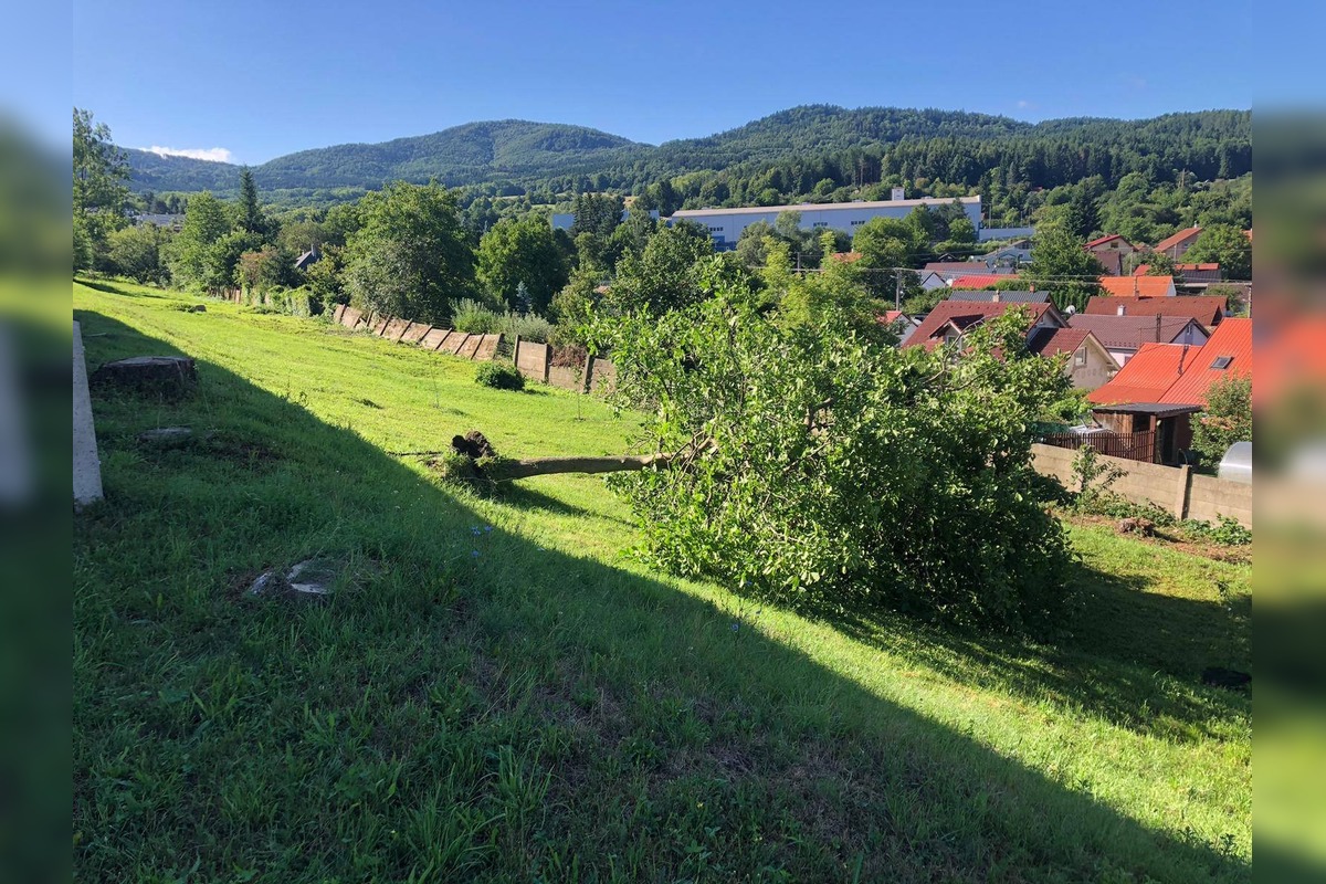 FOTO: Obyvatelia Handlovej sú po burke bez elektriny , foto 8