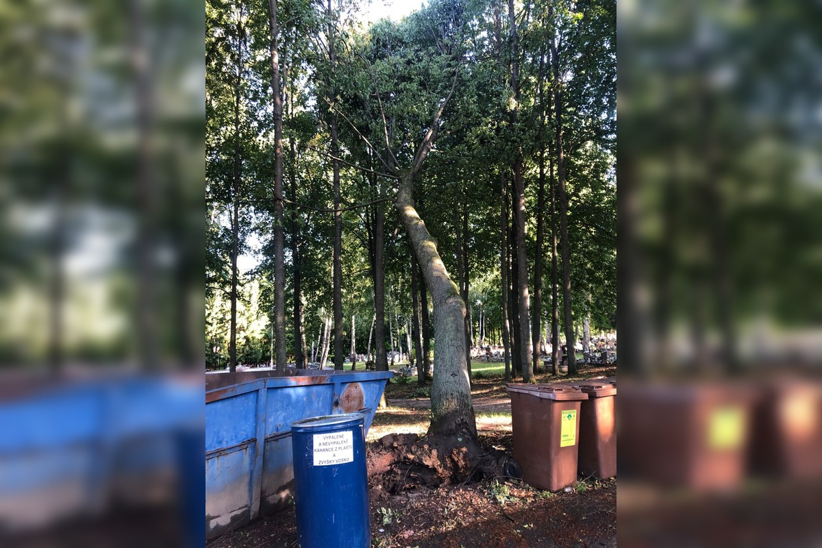 FOTO: Obyvatelia Handlovej sú po burke bez elektriny , foto 9