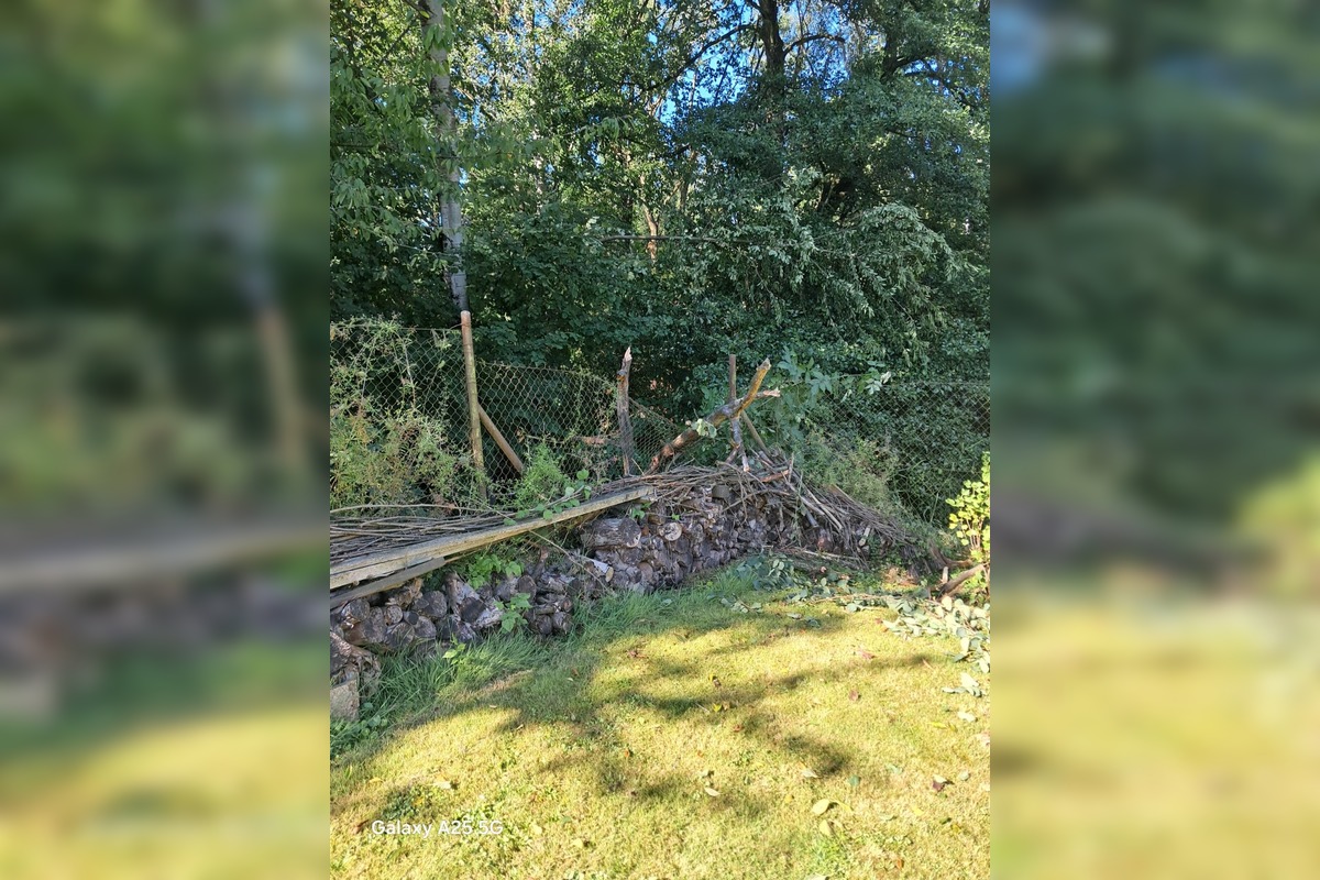 FOTO: Obyvatelia Handlovej sú po burke bez elektriny , foto 10