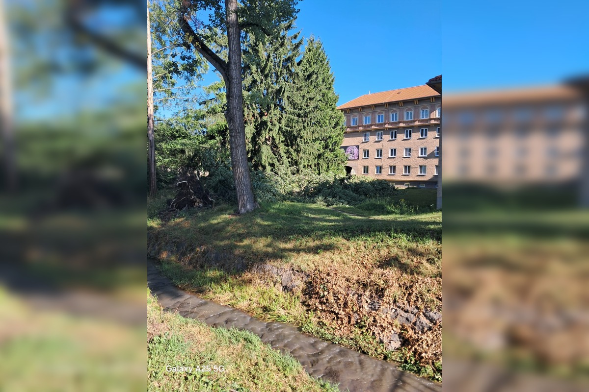 FOTO: Obyvatelia Handlovej sú po burke bez elektriny , foto 11