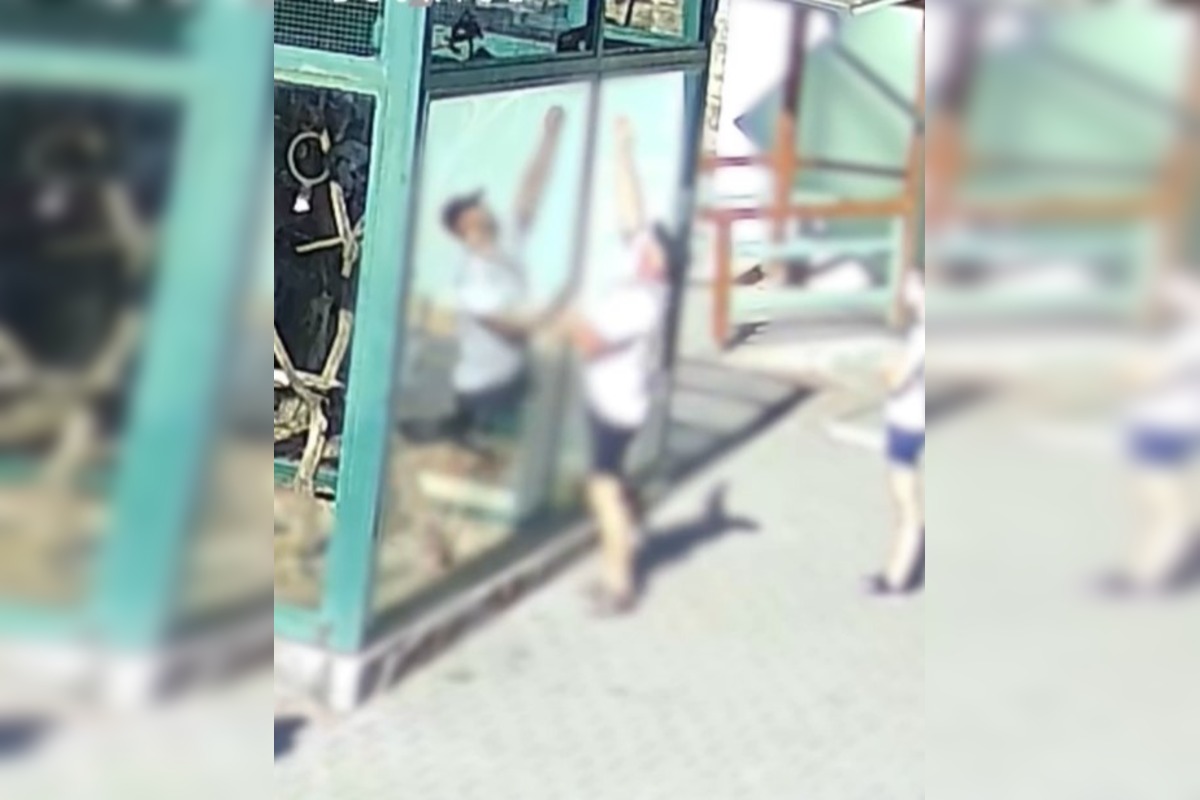 FOTO: Návštevníci v zoologickej záhrade v Bojniciach opäť arogantne odignorovali prísny zákaz kŕmenia zvierat , foto 1