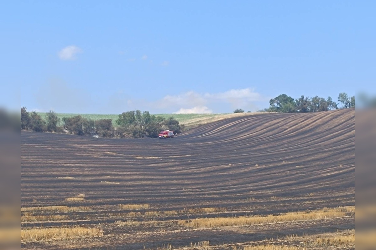 FOTO: Plamene na poli v Očkove sa šírili rýchlo, zasahovali profesionáli aj dobrovoľníci, foto 1