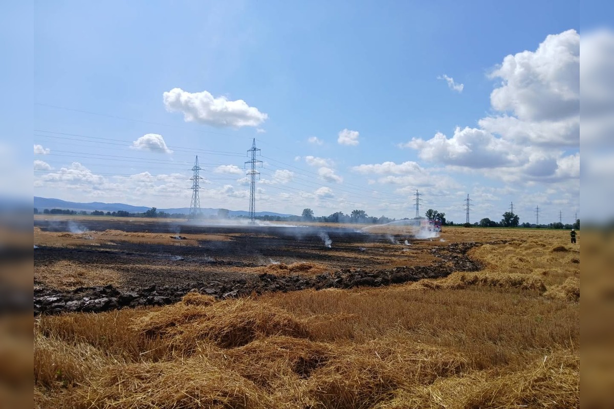 FOTO: Plamene na poli v Očkove sa šírili rýchlo, zasahovali profesionáli aj dobrovoľníci, foto 2