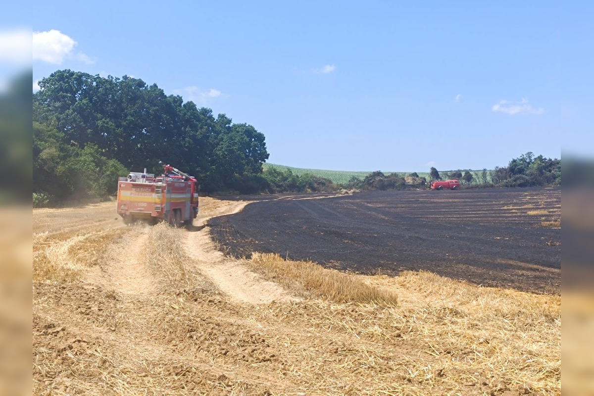 FOTO: Plamene na poli v Očkove sa šírili rýchlo, zasahovali profesionáli aj dobrovoľníci, foto 3