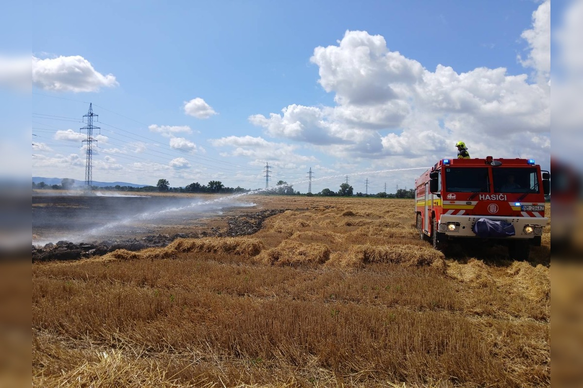 FOTO: Plamene na poli v Očkove sa šírili rýchlo, zasahovali profesionáli aj dobrovoľníci, foto 4