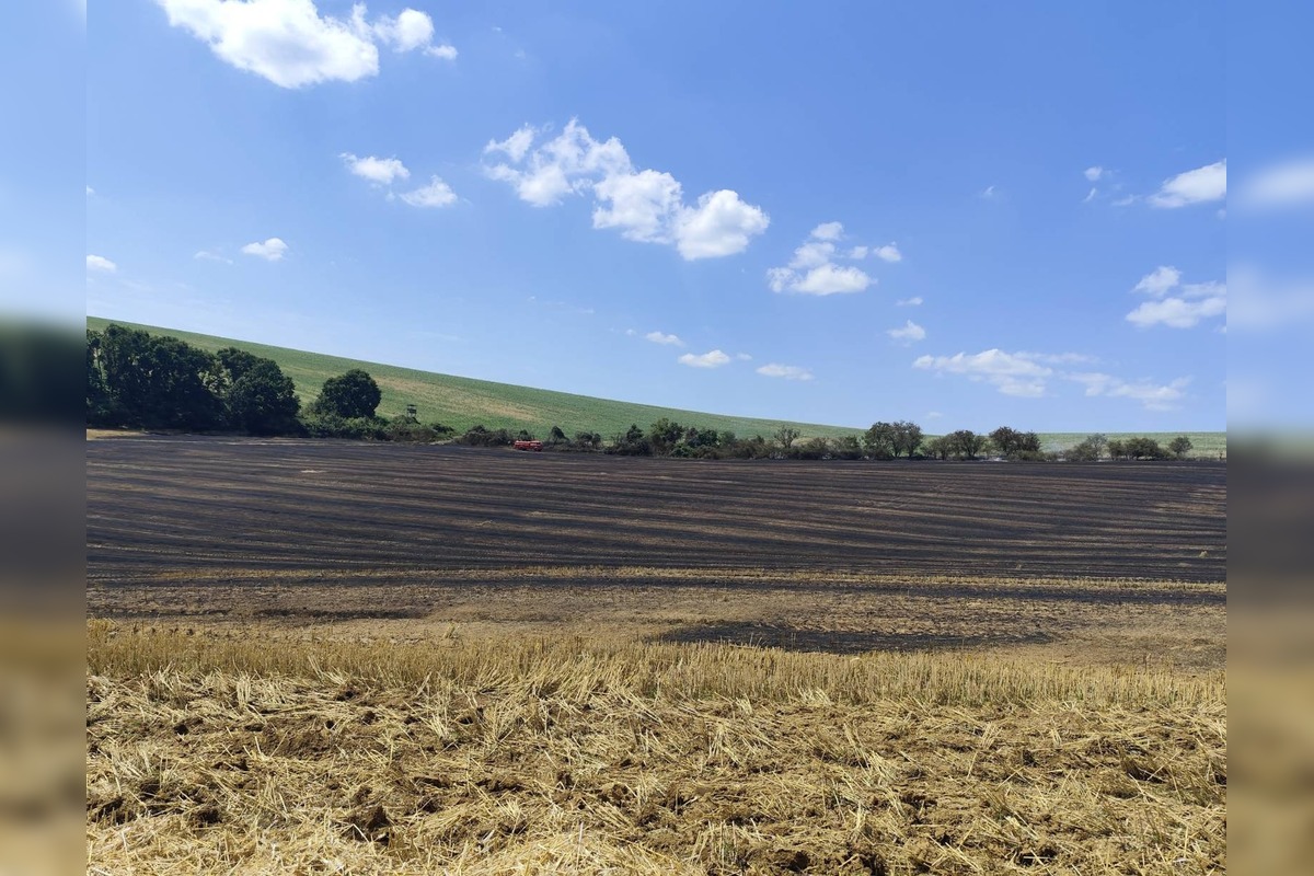 FOTO: Plamene na poli v Očkove sa šírili rýchlo, zasahovali profesionáli aj dobrovoľníci, foto 5