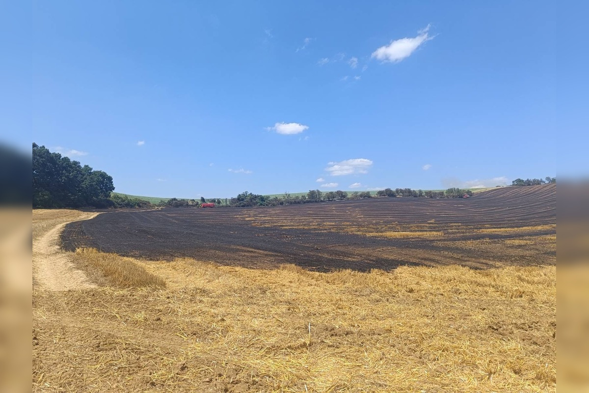FOTO: Plamene na poli v Očkove sa šírili rýchlo, zasahovali profesionáli aj dobrovoľníci, foto 6