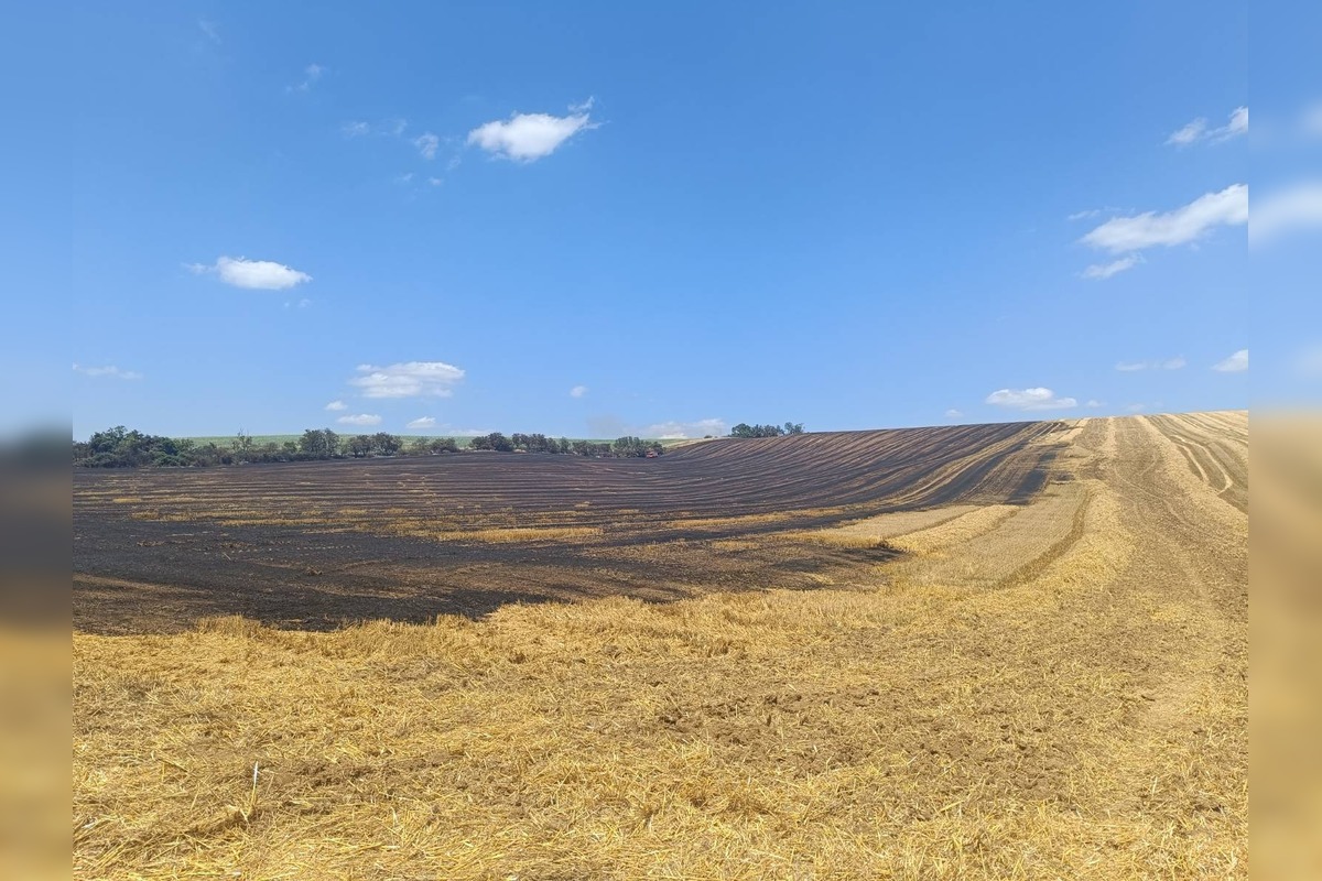 FOTO: Plamene na poli v Očkove sa šírili rýchlo, zasahovali profesionáli aj dobrovoľníci, foto 7