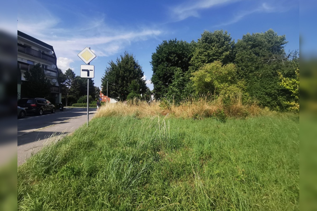 FOTO: Obyvateľov Trenčína hnevá vysoká tráva v katastri mesta, foto 1