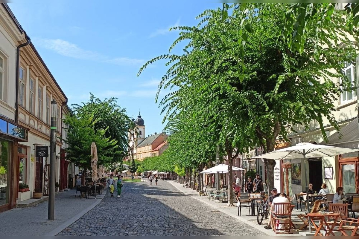 FOTO: Obyvateľov Trenčína hnevá vysoká tráva v katastri mesta, foto 3