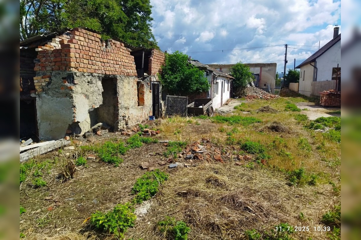 FOTO: Ovce v rukách nezodpovedného majiteľa z Lednických Rovní. Žiadna voda, žiadne krmivo, len žihľava a šachta, foto 1