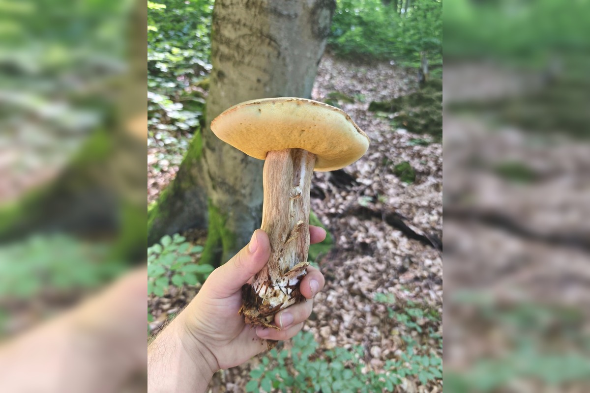 FOTO: Hubári v Trenčianskom kraji sa tešia z úlovkov, foto 6