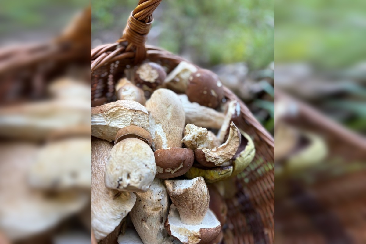 FOTO: Hubári v Trenčianskom kraji sa tešia z úlovkov, foto 8