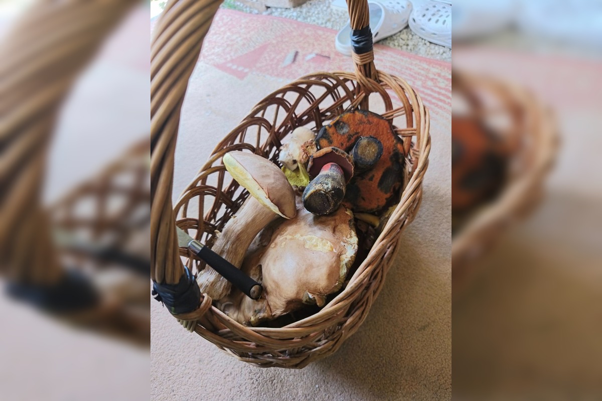 FOTO: Hubári v Trenčianskom kraji sa tešia z úlovkov, foto 12