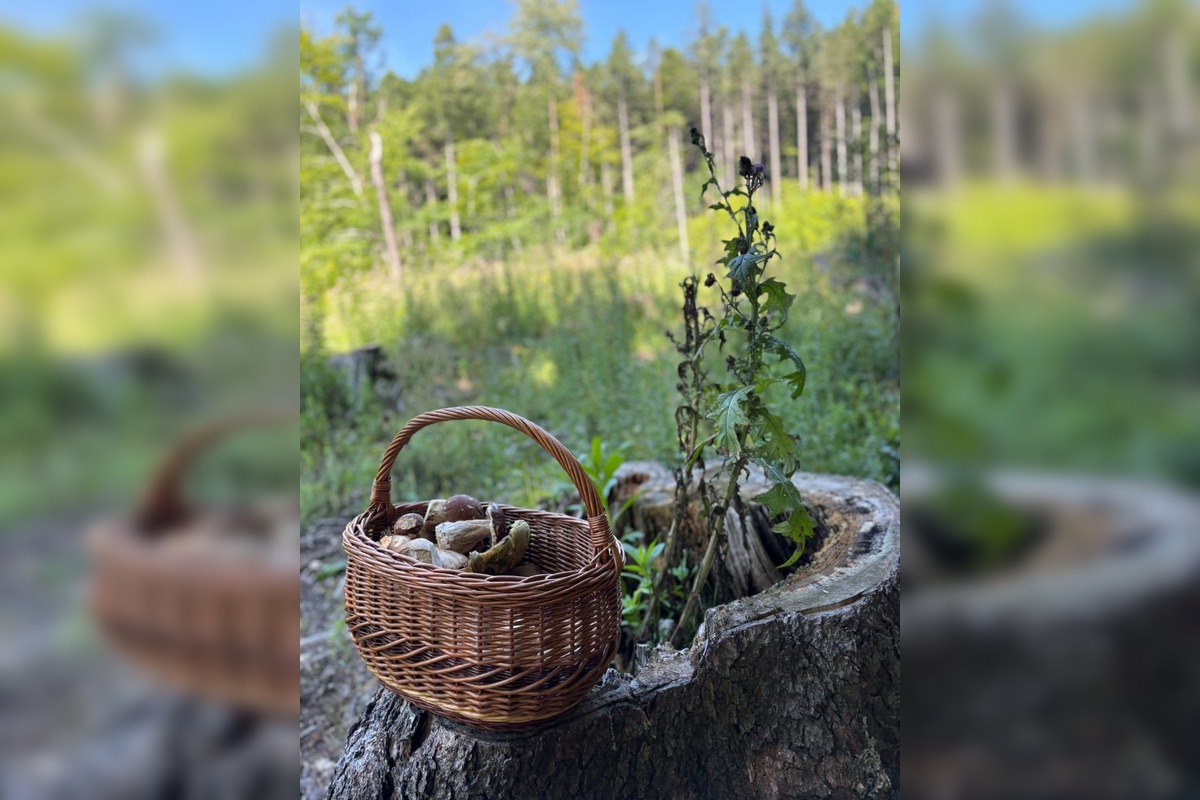 FOTO: Hubári v Trenčianskom kraji sa tešia z úlovkov, foto 15