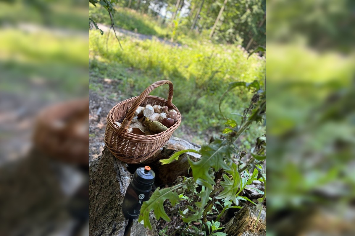 FOTO: Hubári v Trenčianskom kraji sa tešia z úlovkov, foto 16