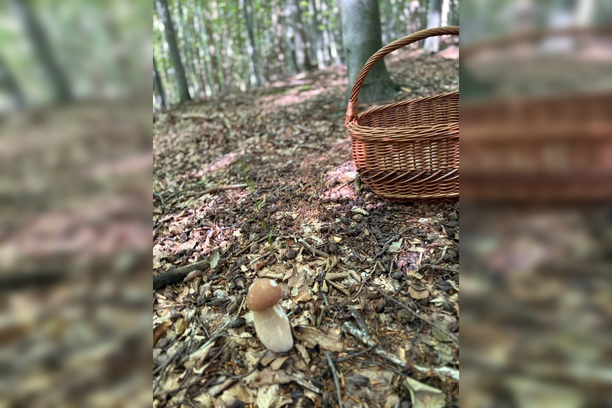 FOTO: Hubári v Trenčianskom kraji sa tešia z úlovkov, foto 17