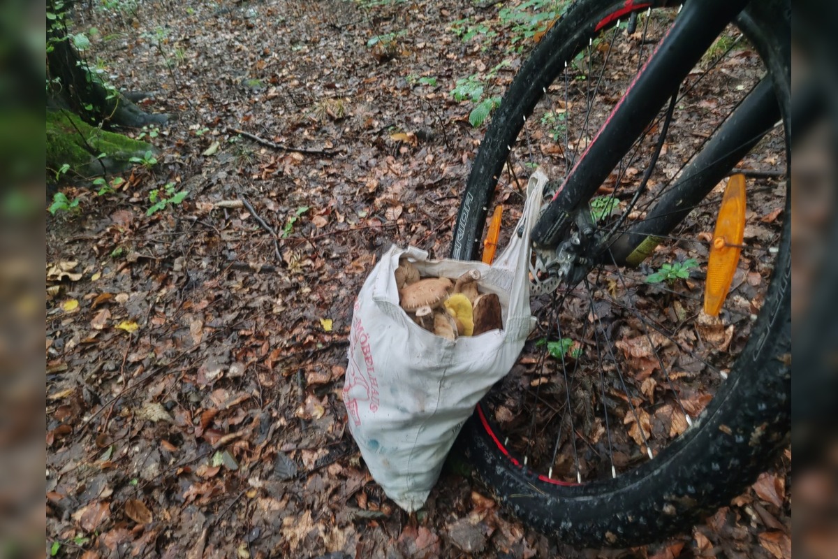 FOTO: Hubári v Trenčianskom kraji sa tešia z úlovkov, foto 18