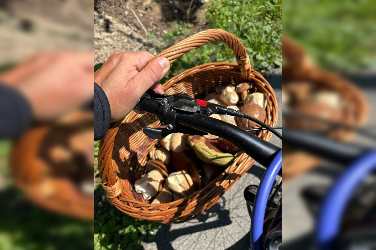 FOTO: Hubári v Trenčianskom kraji sa tešia z úlovkov, foto 21