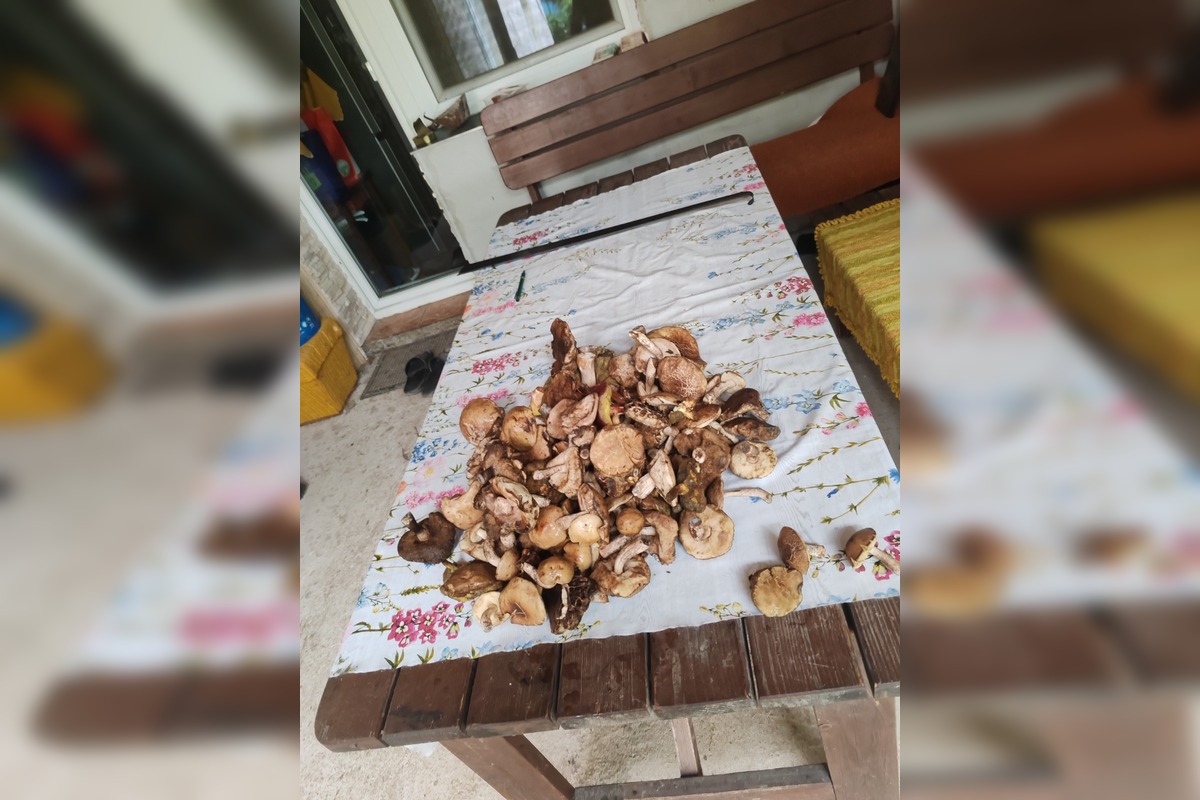 FOTO: Hubári v Trenčianskom kraji sa tešia z úlovkov, foto 23