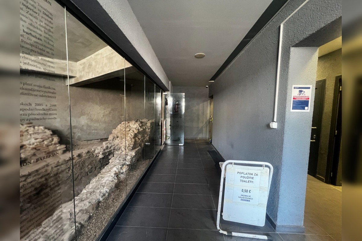 FOTO: Sládkovičova ulica v Trenčíne dostane nové verejné WC, počas prác budú k dispozícii toalety na Farskej, foto 9