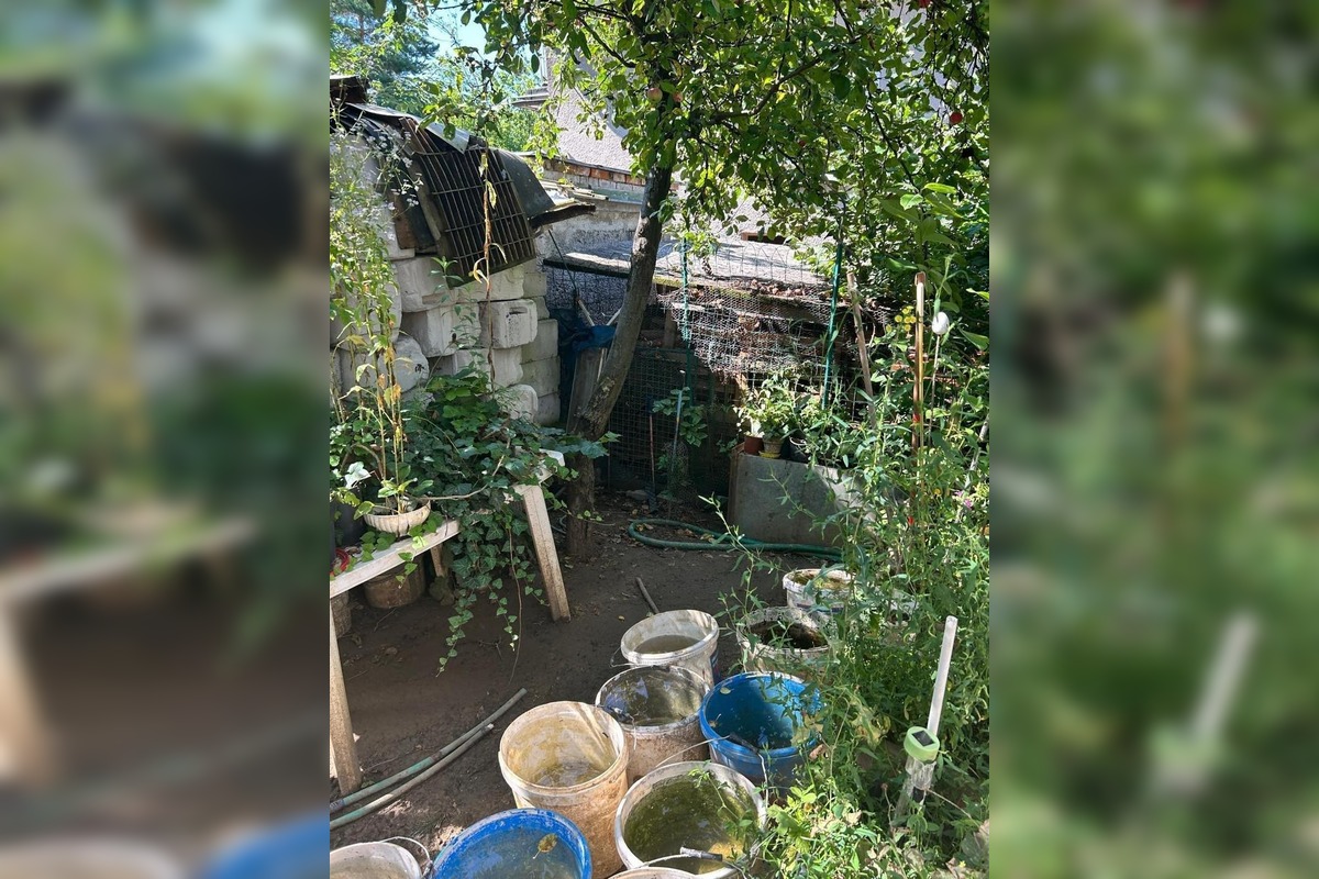 FOTO: Desiatky psov žili v špine a hlade. Enviropolicajti zasahovali pri Prievidzi, foto 6