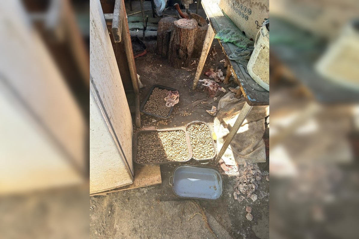 FOTO: Desiatky psov žili v špine a hlade. Enviropolicajti zasahovali pri Prievidzi, foto 7