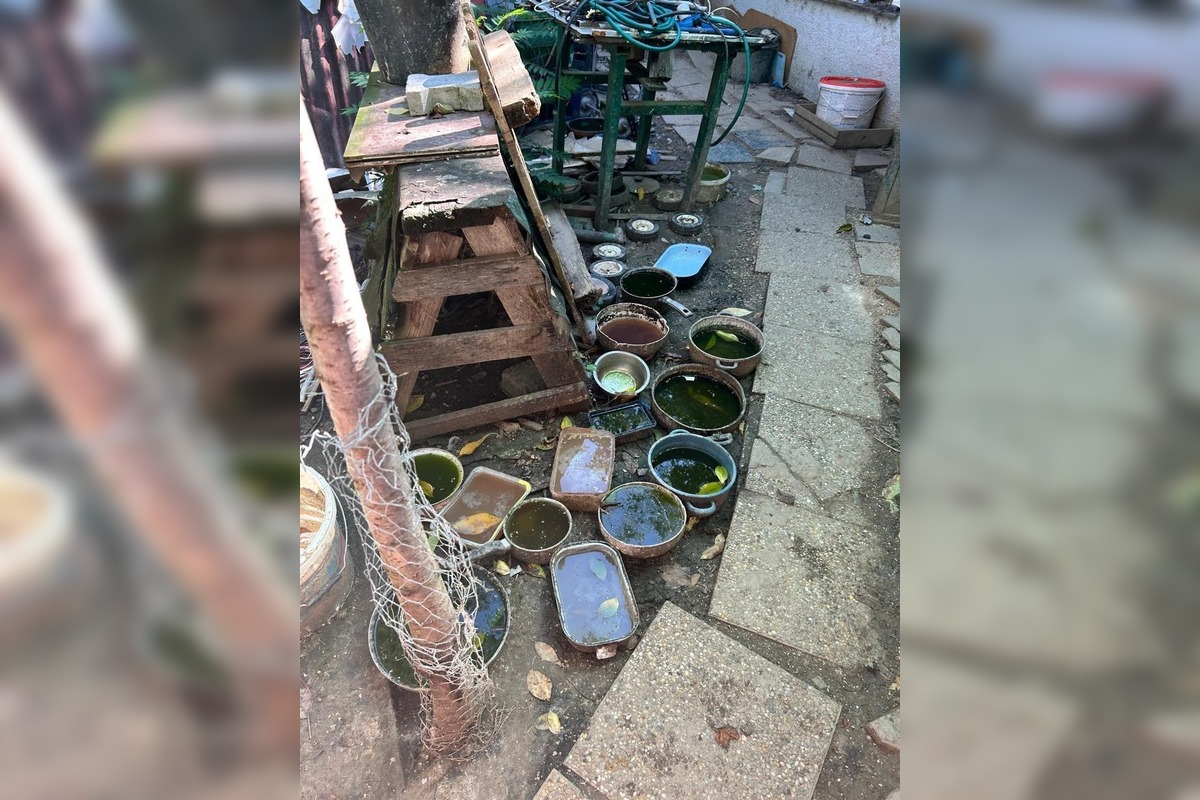 FOTO: Desiatky psov žili v špine a hlade. Enviropolicajti zasahovali pri Prievidzi, foto 8