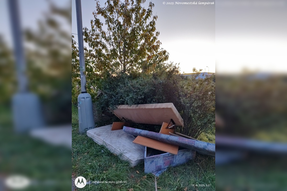 FOTO: V Novom Meste nad Váhom sa niektoré ulice menia na smetisko , foto 3