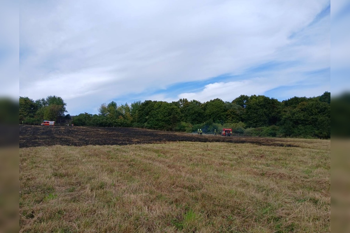 FOTO: Lúku pri železničnej trati v Starej Turej zachvátil požiar, príčina je zatiaľ neznáma, foto 2
