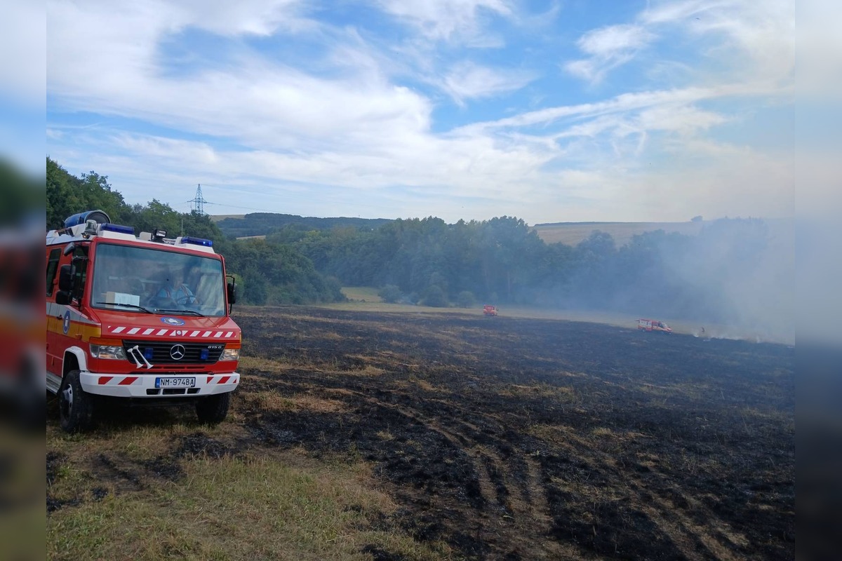 FOTO: Lúku pri železničnej trati v Starej Turej zachvátil požiar, príčina je zatiaľ neznáma, foto 3