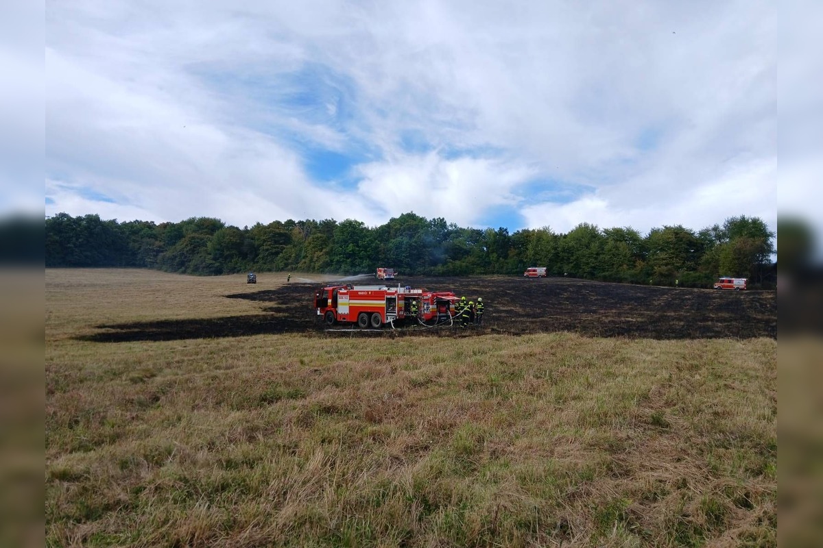 FOTO: Lúku pri železničnej trati v Starej Turej zachvátil požiar, príčina je zatiaľ neznáma, foto 4