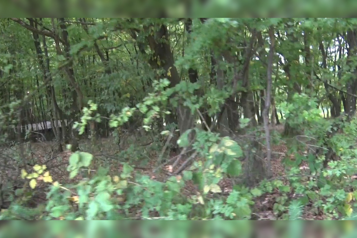 FOTO: Muž pri Trenčíne ohrozoval v lese poľovníkov aj políciu , foto 1