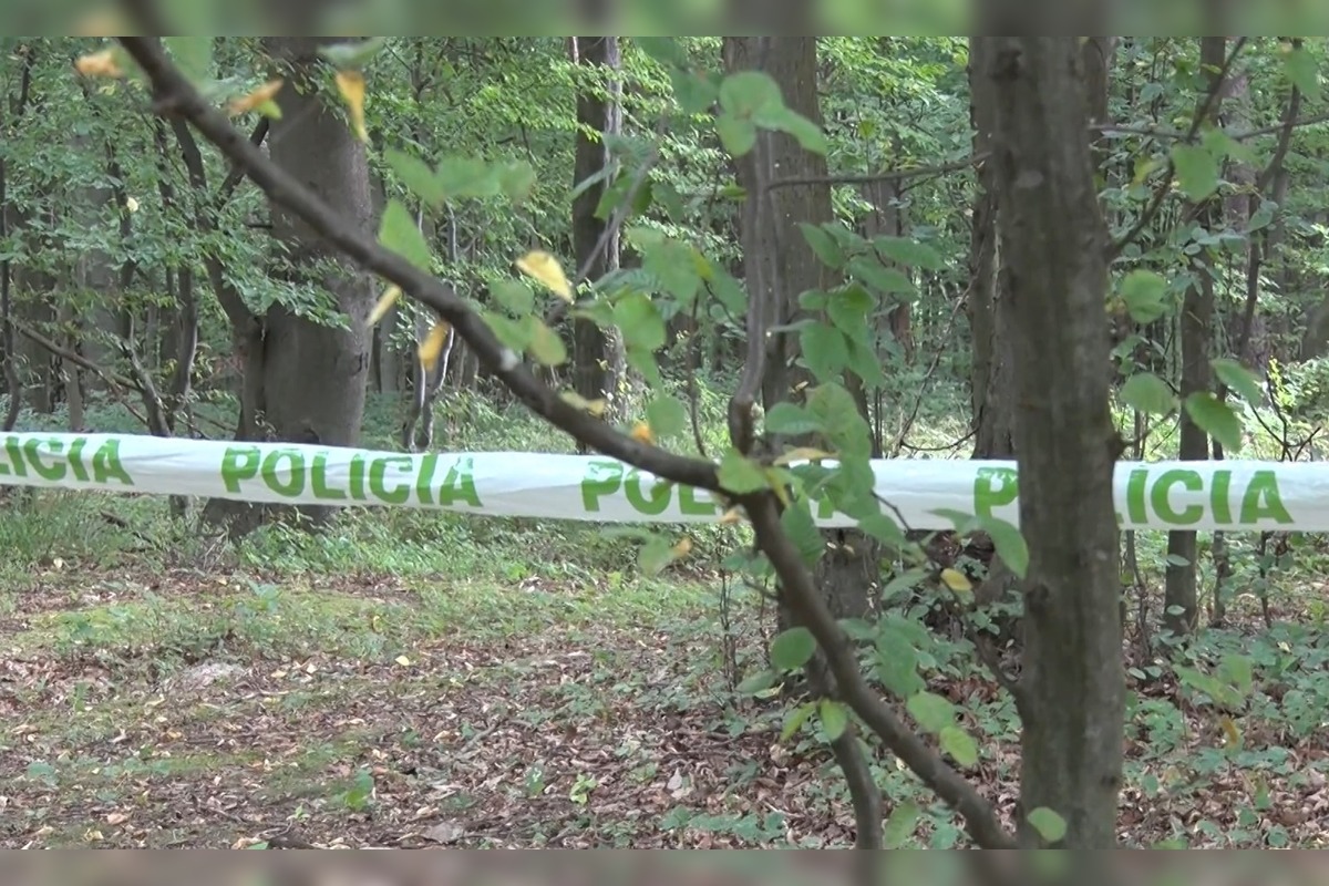 FOTO: Muž pri Trenčíne ohrozoval v lese poľovníkov aj políciu , foto 2