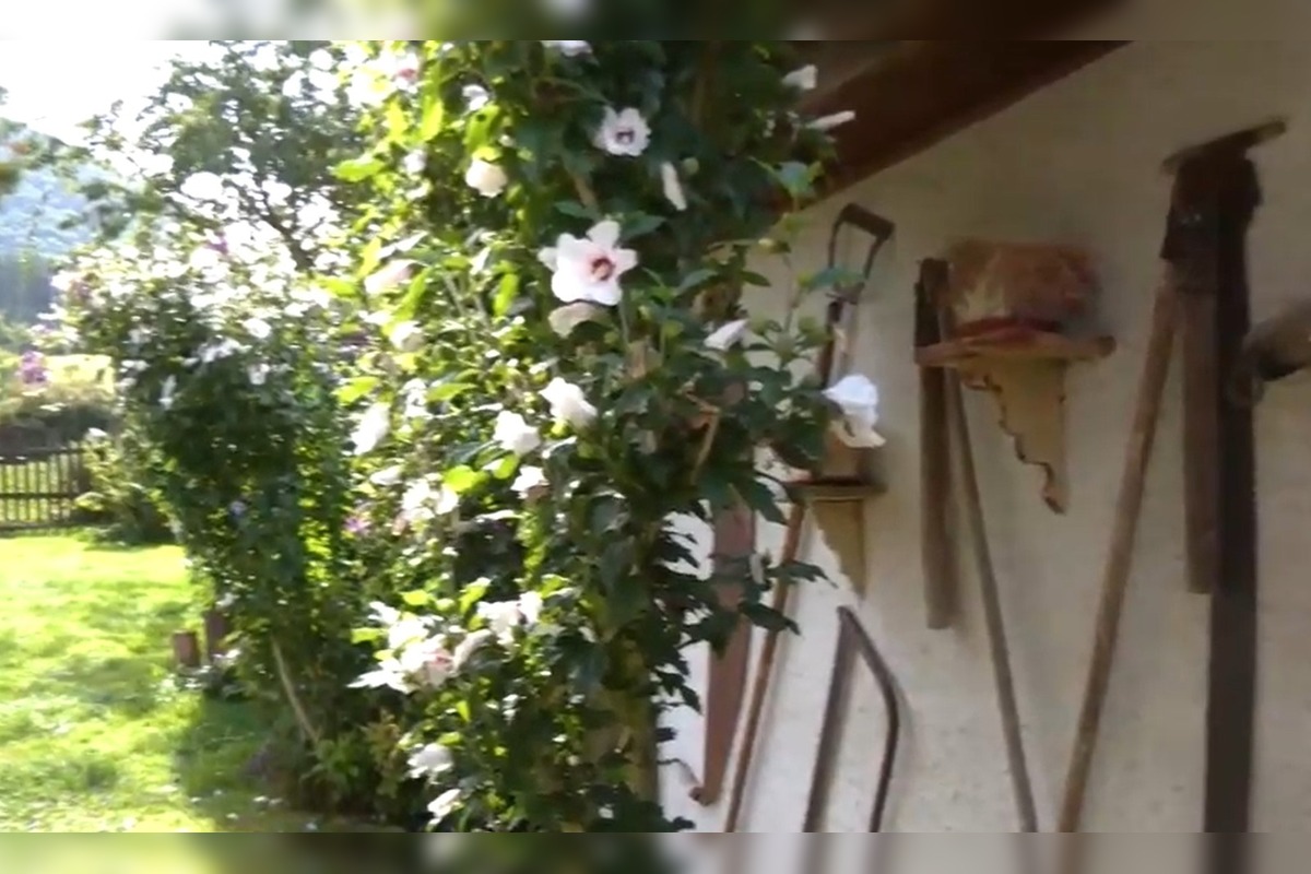 FOTO: Dom na Považí ukýva vzácne poklady , foto 1