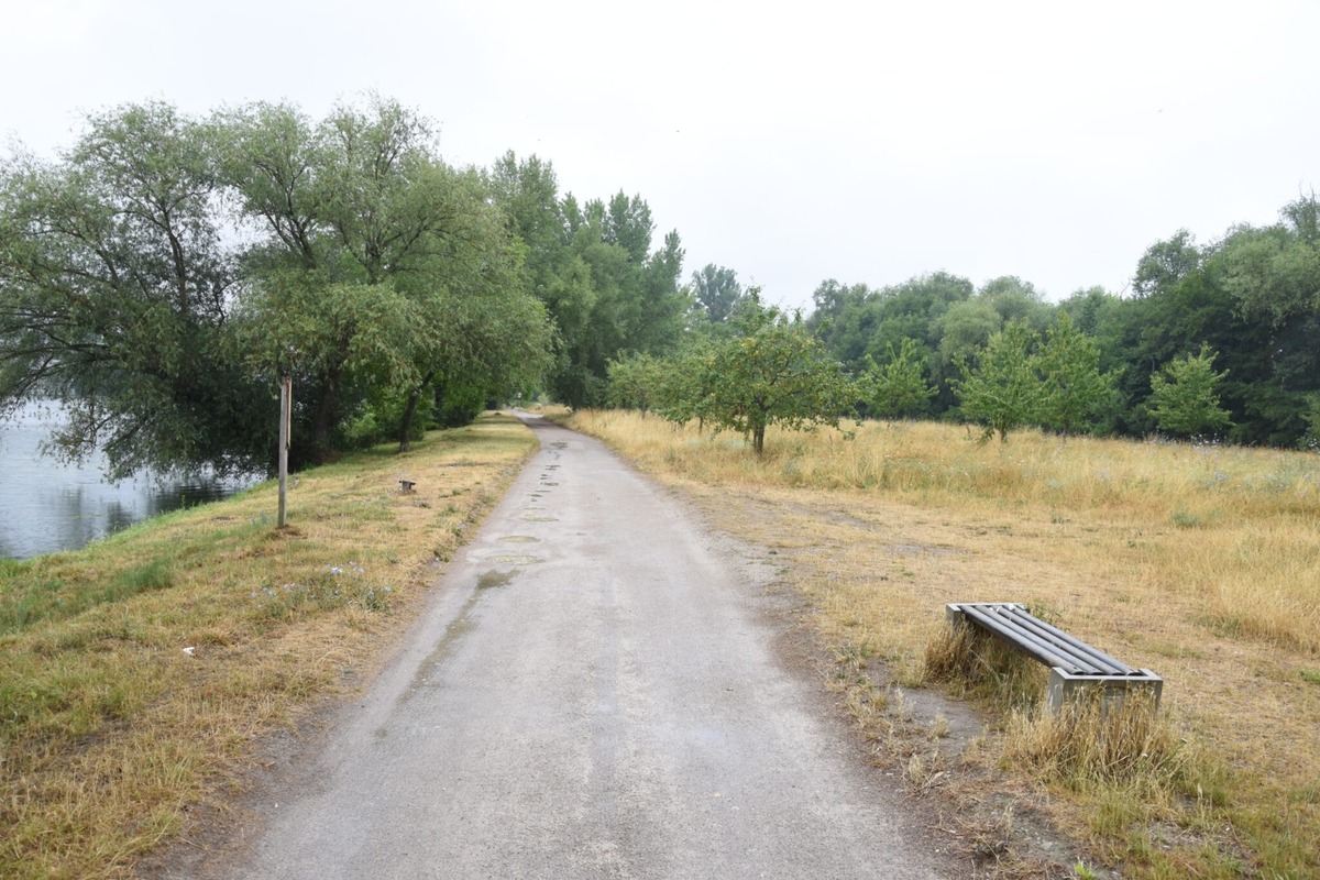 FOTO: Z nevyužívaného územia pri Váhu v Trenčíne bude park plný zelene a oddychu, foto 5
