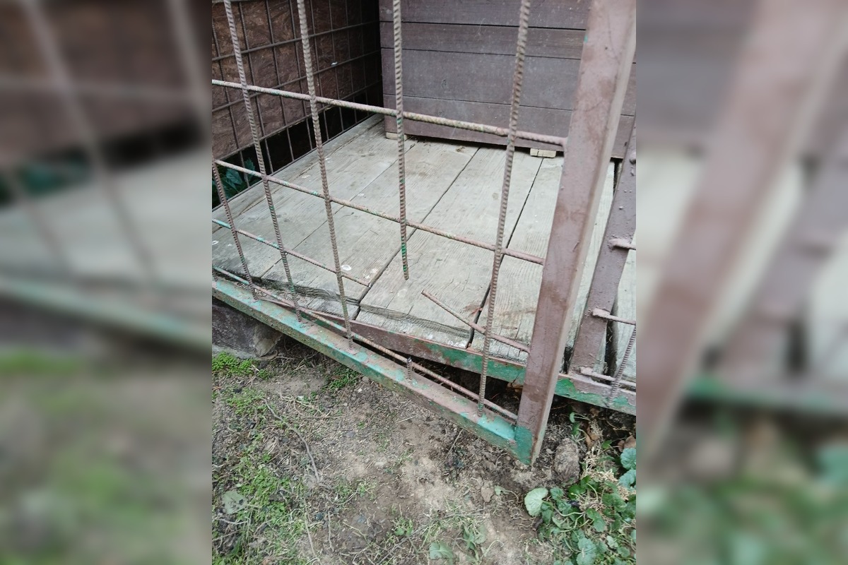 FOTO: Dramatické chvíle v Bánovciach, šteniatku museli pomôcť hasiči, foto 3