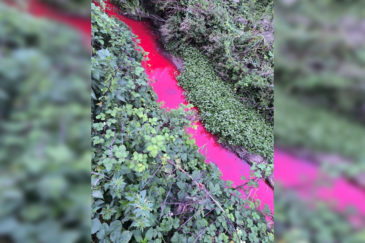 FOTO: Z čírej vody krvavo červená, v Čereňanoch riešili nezvyčajné znečistenie potoka, foto 3
