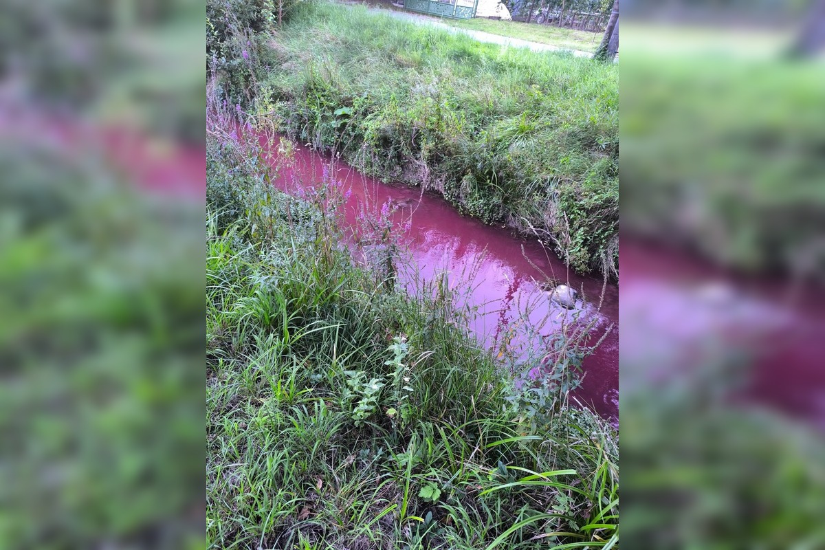 FOTO: Z čírej vody krvavo červená, v Čereňanoch riešili nezvyčajné znečistenie potoka, foto 4