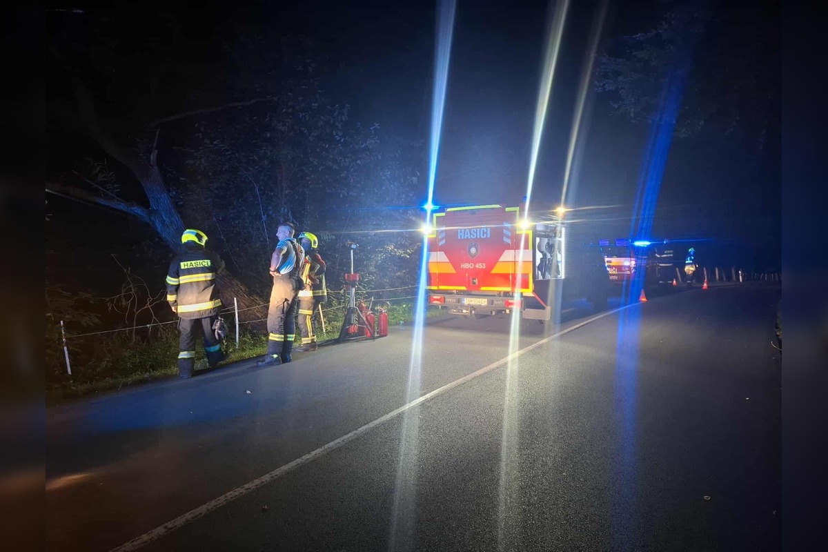 FOTO: Mimoriadna situácia v Chvojnici: Na strom spadlo elektrické vedenie, spôsobilo skrat a iskrenie, foto 3
