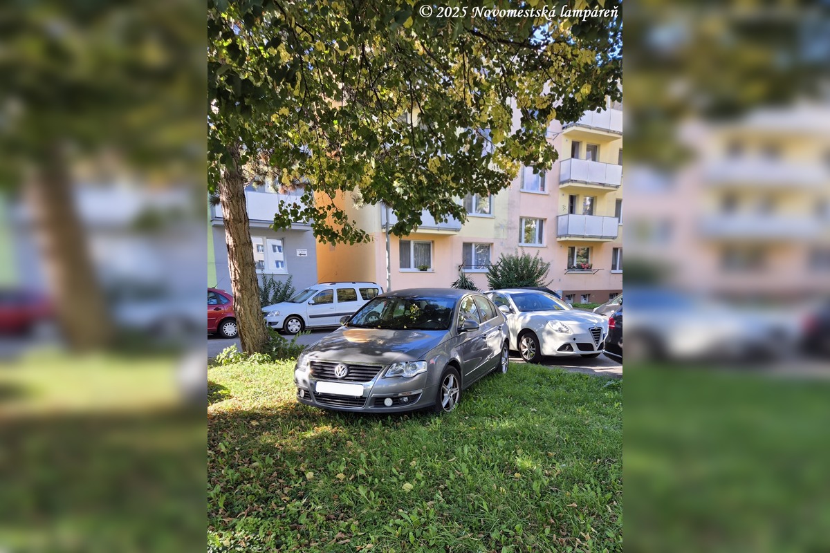 FOTO: Obyvatelia Nového Mesta nad Váhom sa vyjadrovali ku zaparkovanému autu na verejnej zeleni , foto 1