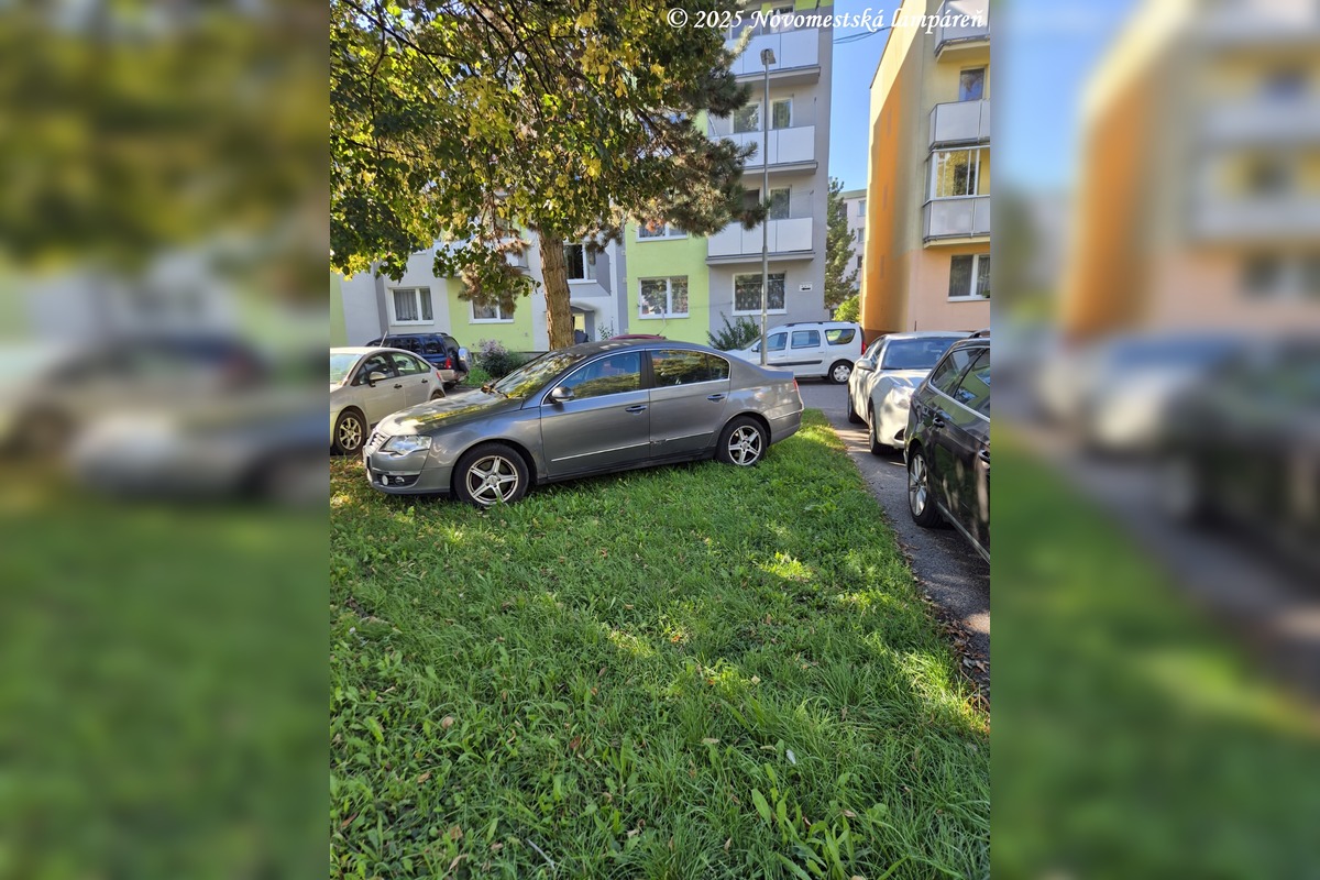 FOTO: Obyvatelia Nového Mesta nad Váhom sa vyjadrovali ku zaparkovanému autu na verejnej zeleni , foto 2
