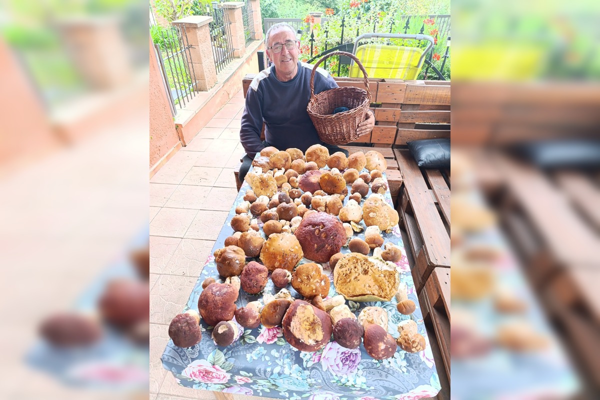 FOTO: Lesy Trenčianskeho kraja sa premenili na hubársky raj, košíky nadšencov sa plnia dubákmi aj masliakmi, foto 23